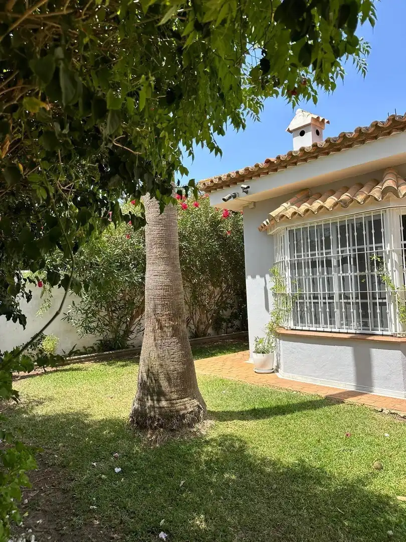 Vista exterior de Casa o xalet en venda en Chiclana de la Frontera amb Aire condicionat, Calefacció i Jardí privat