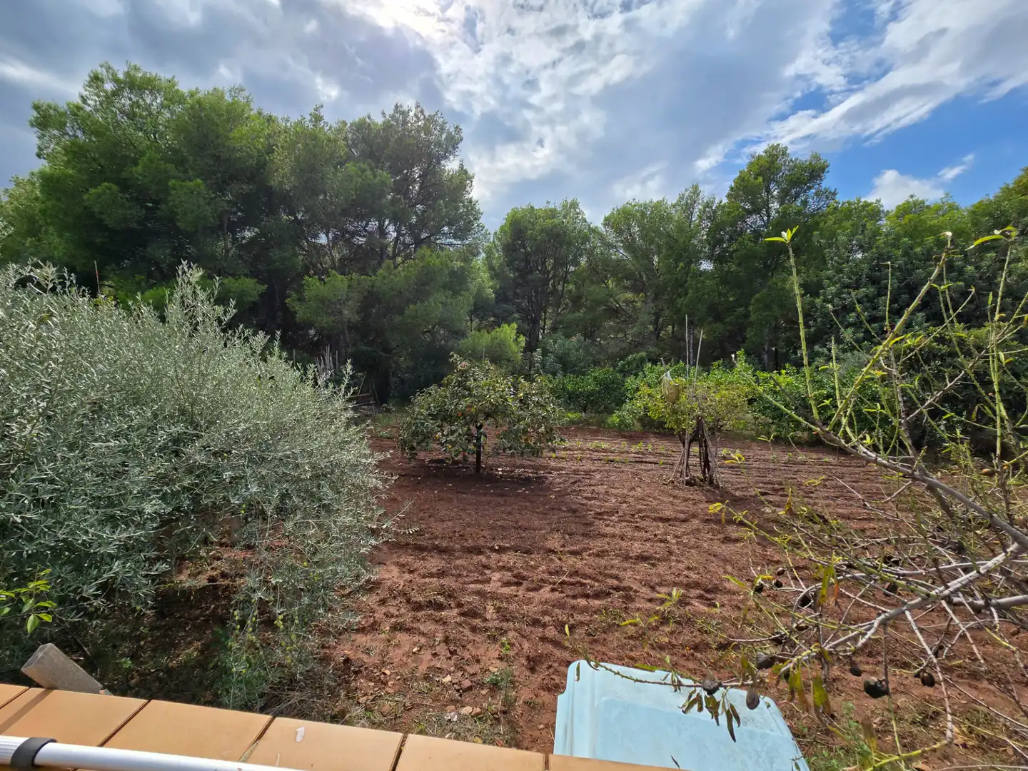 Villa avec terrasse à vendre à Torreón - La Almadraba, imagen 32