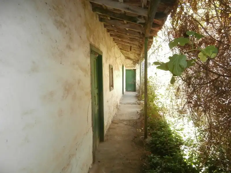 Finca rústica en venta en Moya (Las Palmas)