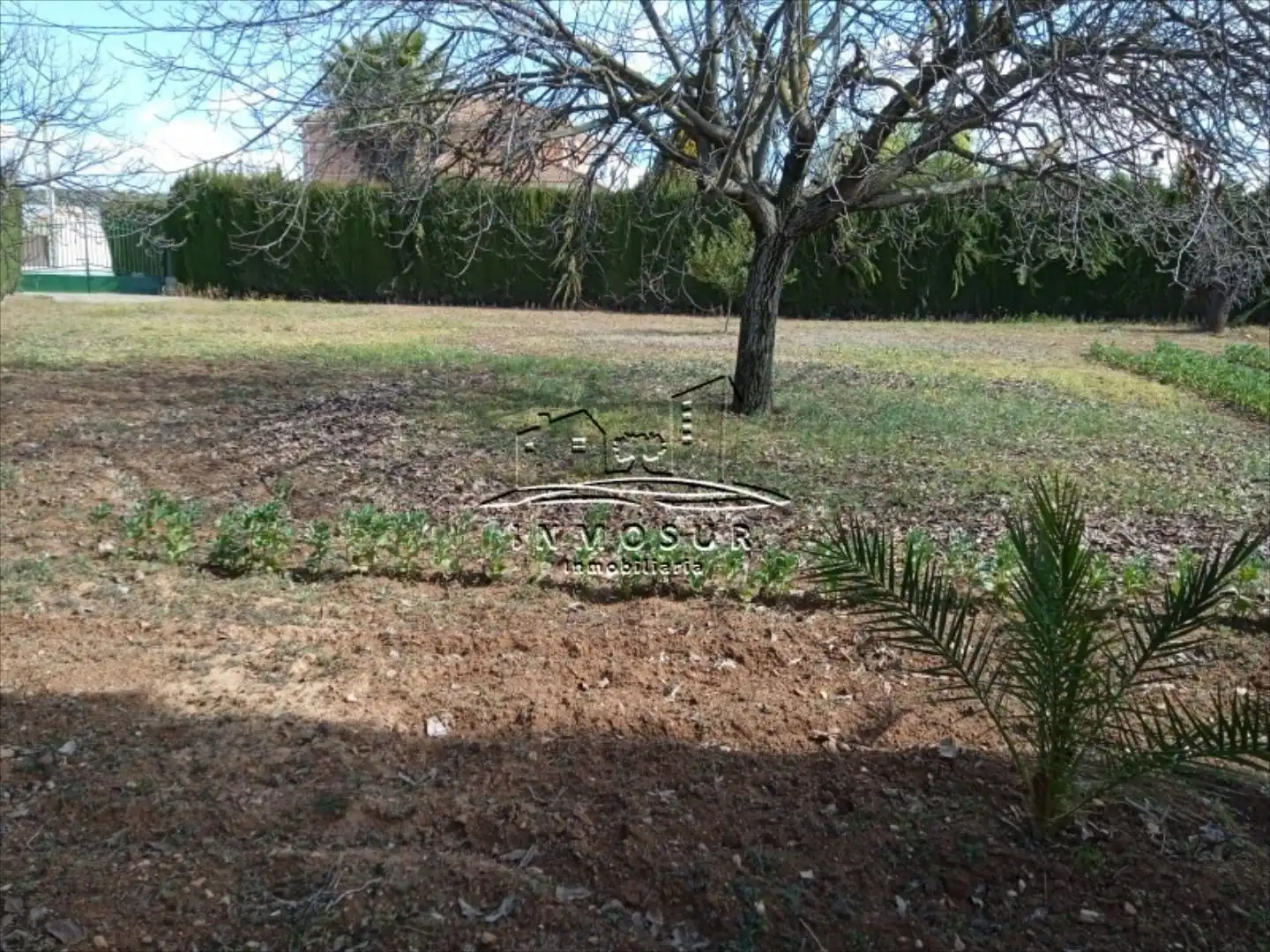 Casa o chalet en venta en Lucena con Piscina