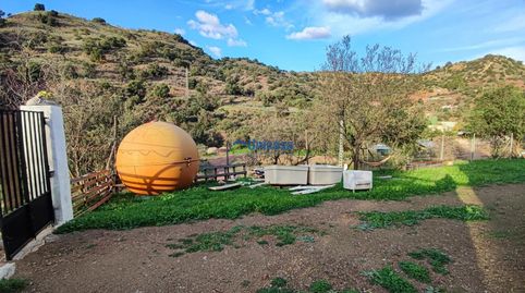 TERRENO RURAL DE 3.000M2  EN CORTIJUELO, MÁLAGA., imatge 3