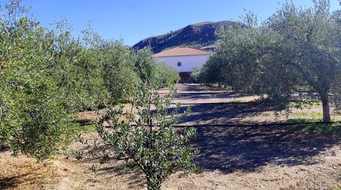 MACAEL  ALMERÍA . VENTA DE CASA DE CAMPO DE UNA PLANTA CON TERRENO., Bild 3