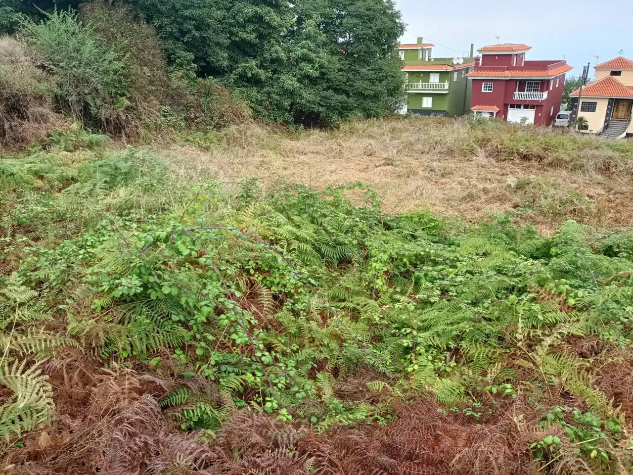 Terreno en venta en Los Realejos