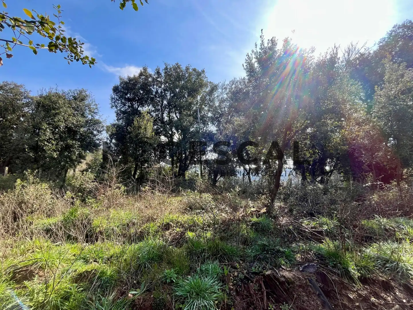 Terrenys i solars en venda a LLUIS BADO, imagen 11