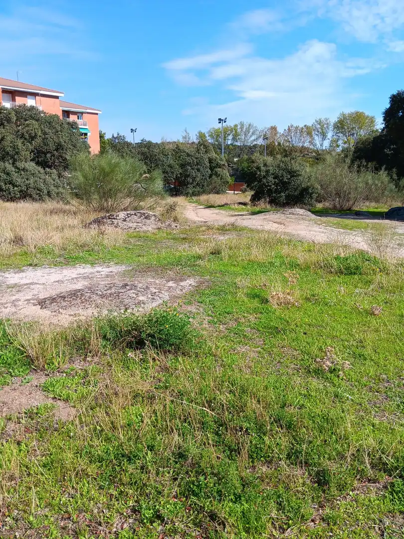 Terreno residencial en venta en Calle de Madrid 20, imagen 24