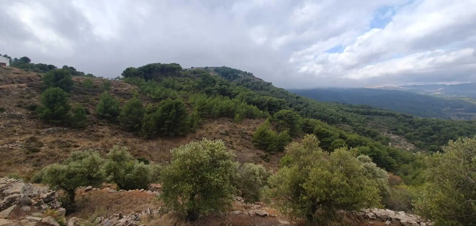 Terrenos y solares en venta en Yunquera, imagen 6