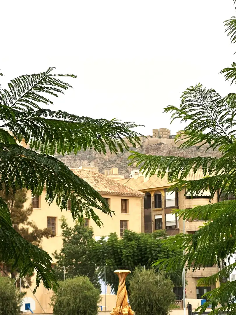 Apartamento en venta en Plaza de Colón, San Mateo