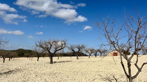 Esta exclusiva parcela de 71.641 m se encuentra en La Copa de Bellas, el paraíso ciclista de España, a 60 km de Murcia capital. Ac, imatge 2