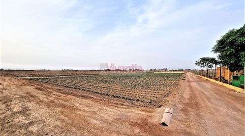 PARCELA - CAMPILLO- 5125 M2, imagen 2