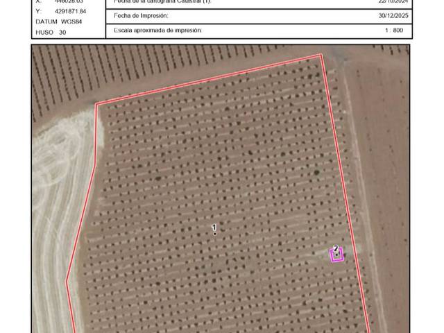 Terreno en Venta en Calle Capitán García Espinosa, 56 en Moral de Calatrava