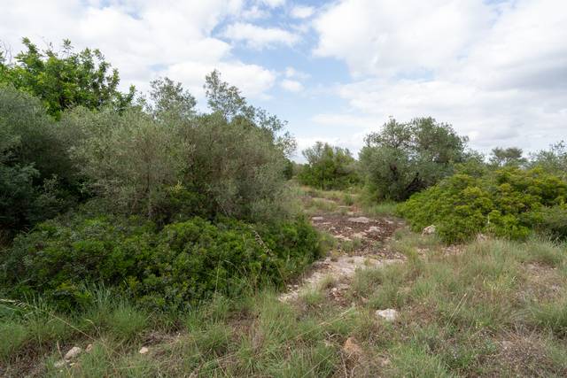 Terreno en Venta en N/A, -1 en Vinallop