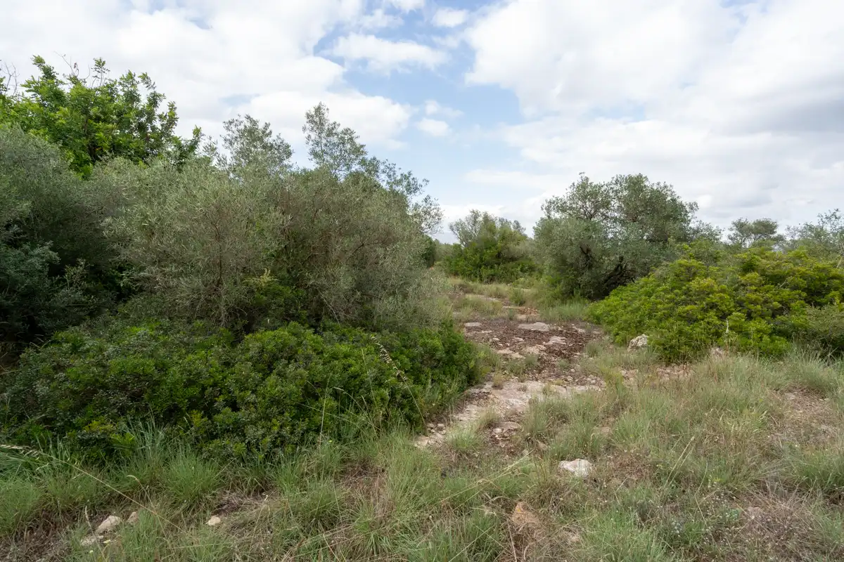 Rural land for sale in Vinallop