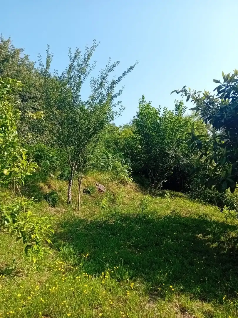 Maison à vendre à Tui, imagen 14