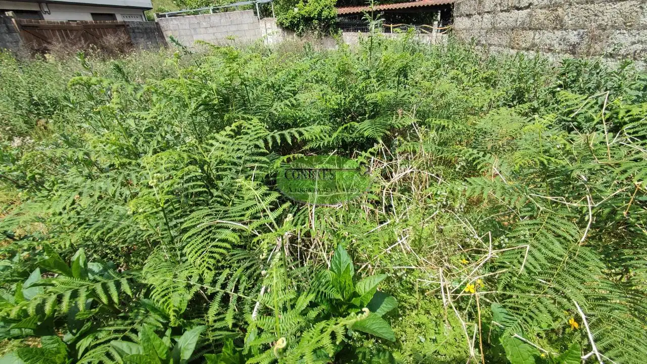 Terreni e lotti in vendita a Ribadavia, imagen 3