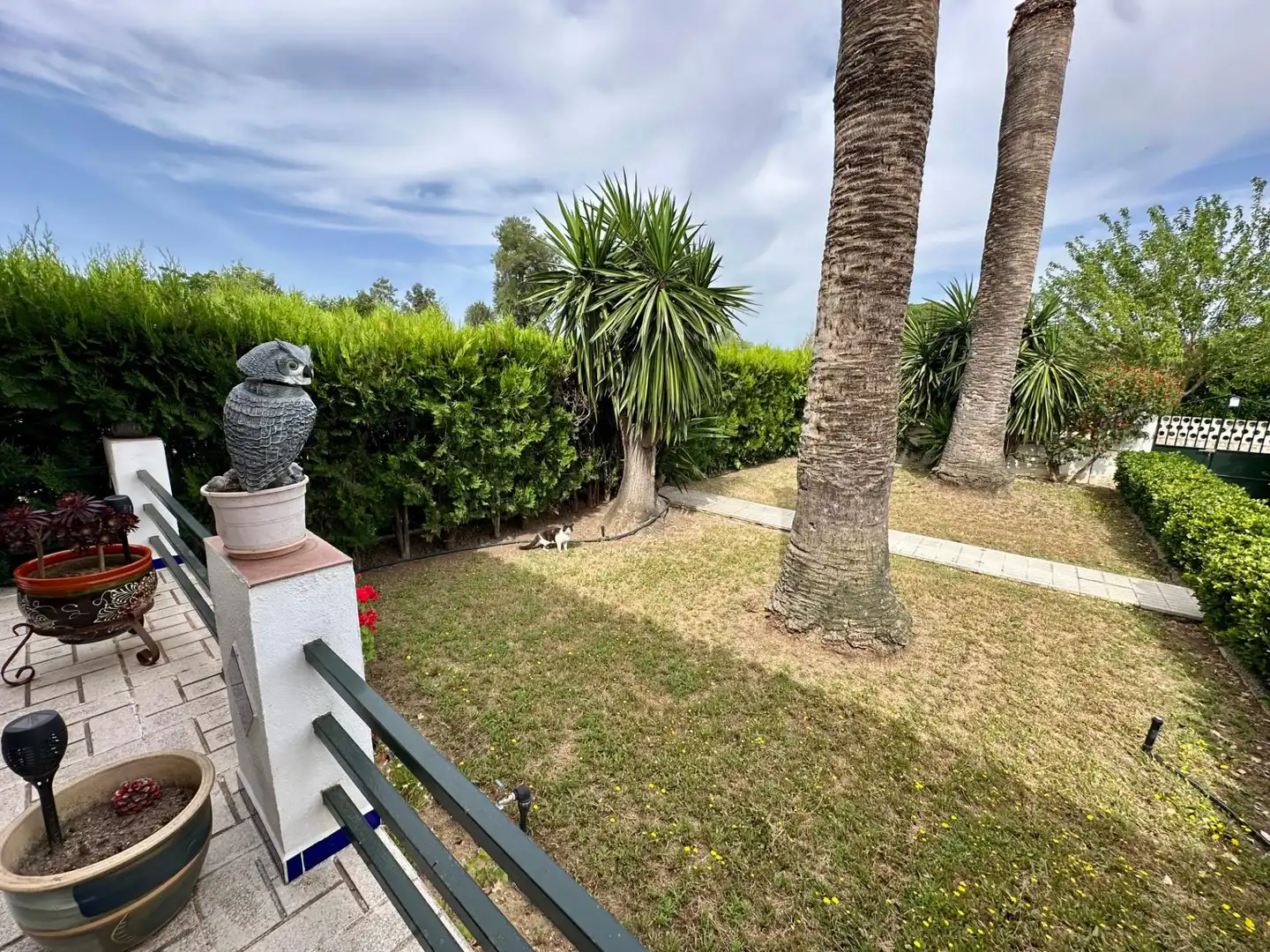 Garden of Houses for sale in Paradas