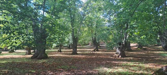 Terreno en Venta en Los Marines