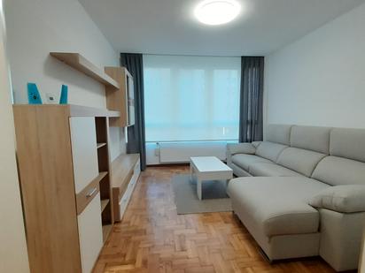 Sala d'estar de Apartament de lloguer en Barañain