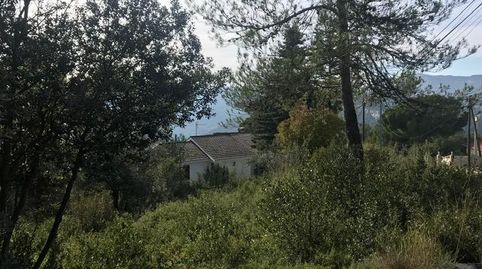 TERRENO EN VENTA EN SEVA, immagine 4