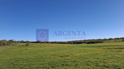Foto 3 de Casa o chalet en venta en Brozas, Cáceres