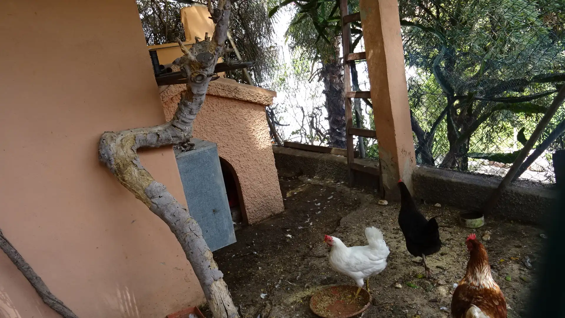 Garden of Houses for sale in El Campello  with Air Conditioner, Heating and Private garden