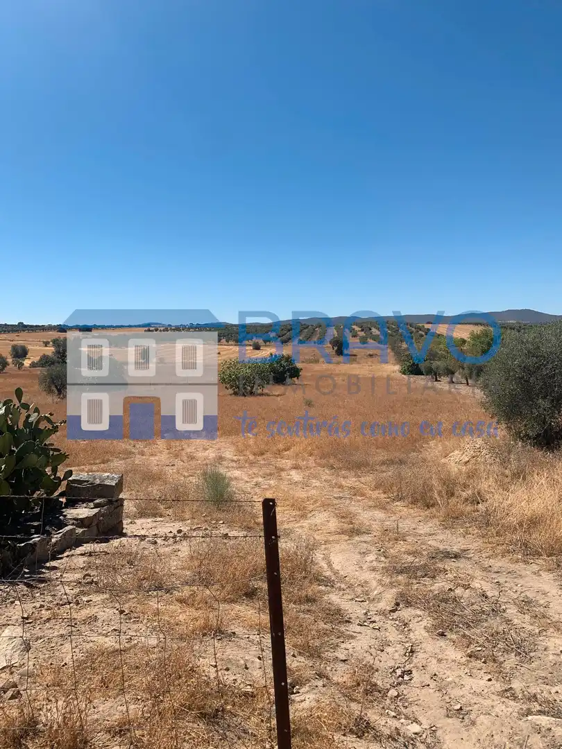Chalet en venta en La Haba, imagen 42
