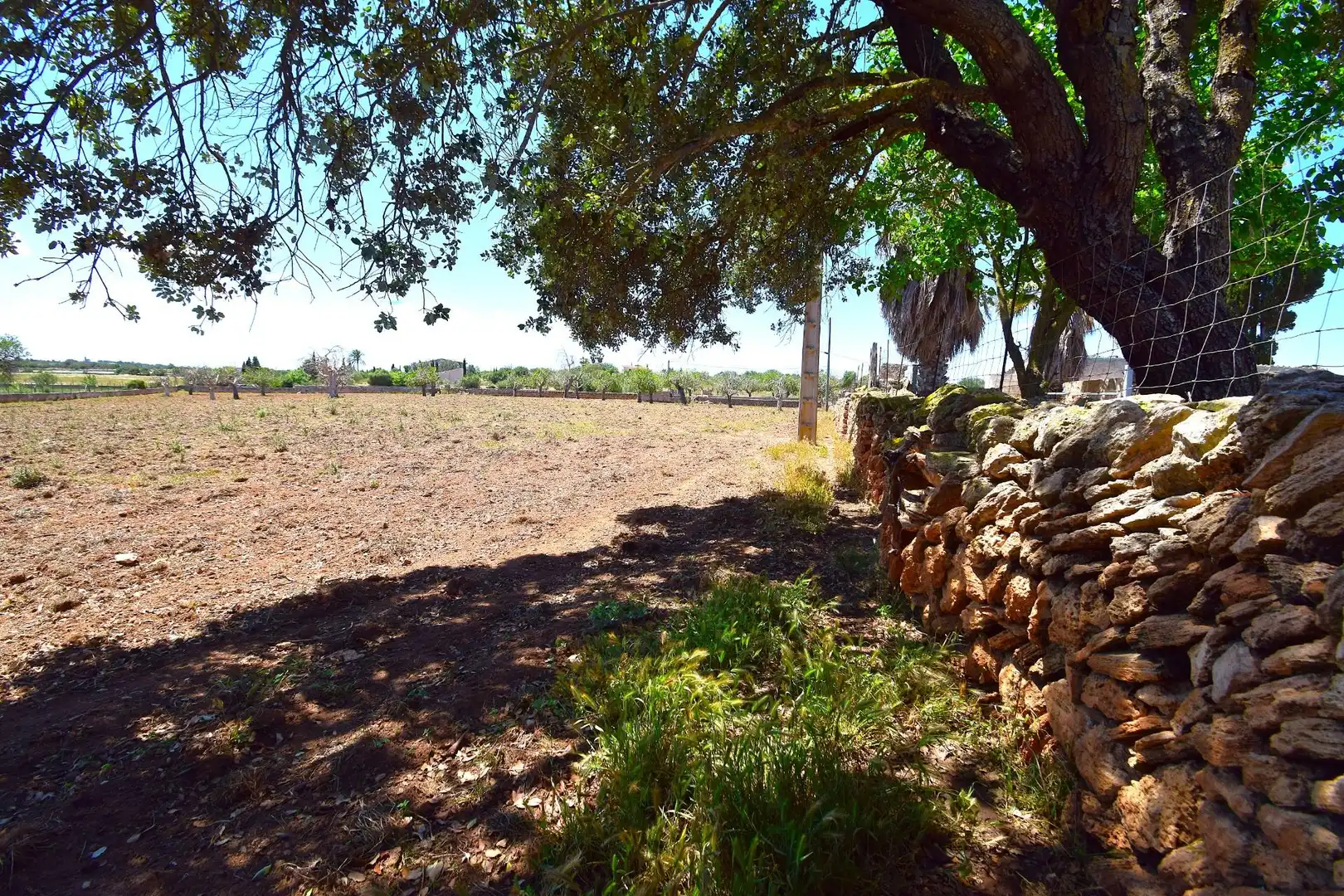 Residential land for sale in Santa Margalida Poble, imagen 17