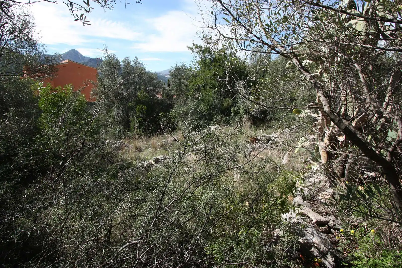 Residential land for sale in Orba, imagen 5