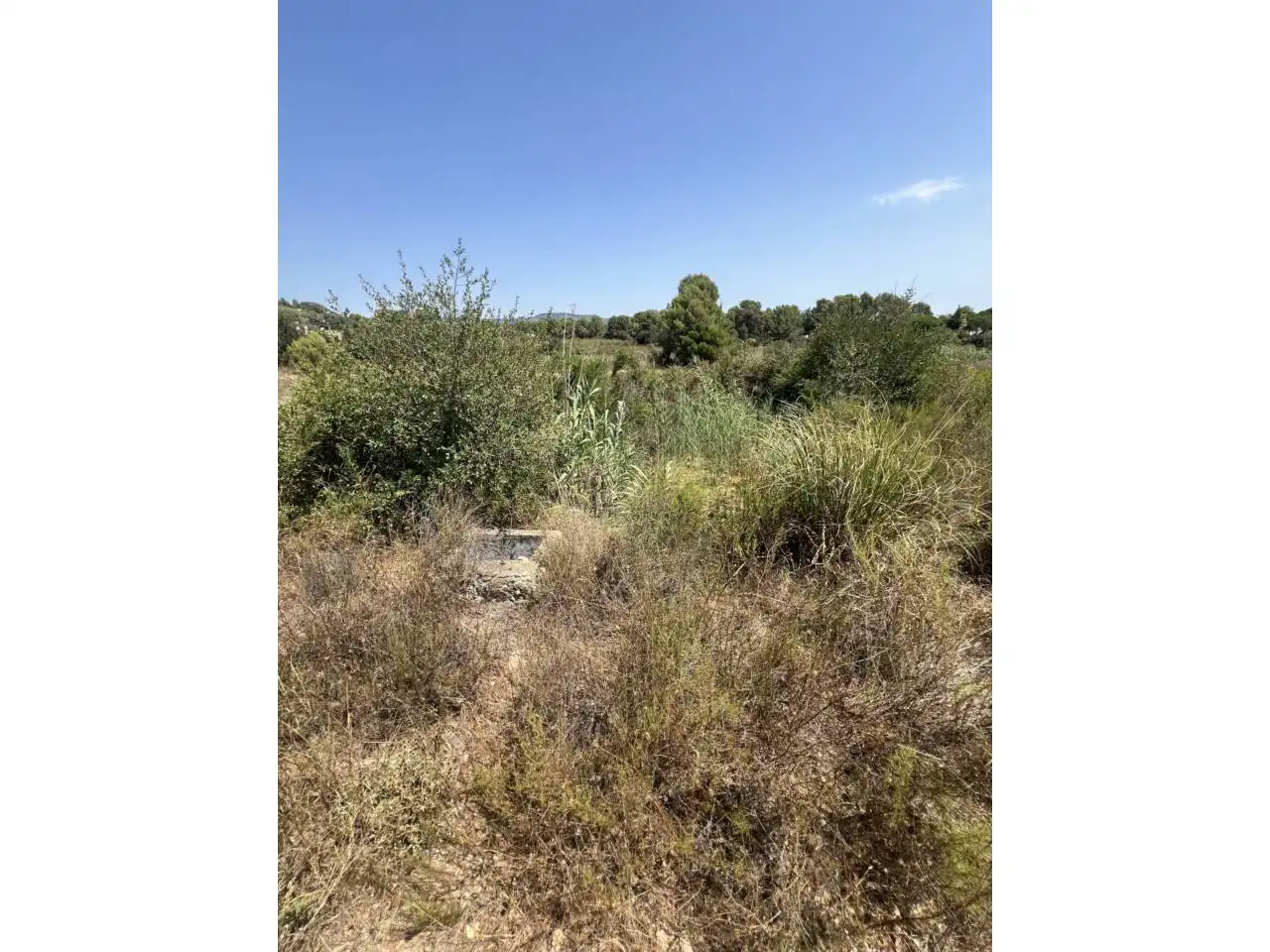 Rural land for sale in Camino Aleixar 15, imagen 6
