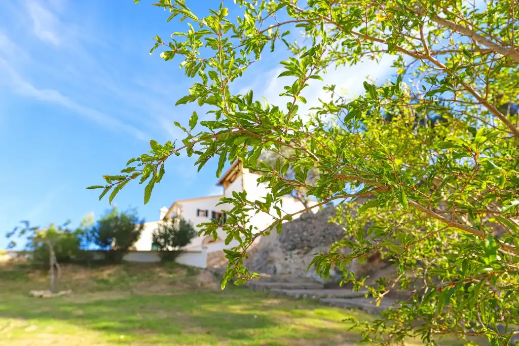Chalet con piscina en venta en Ponent, imagen 27