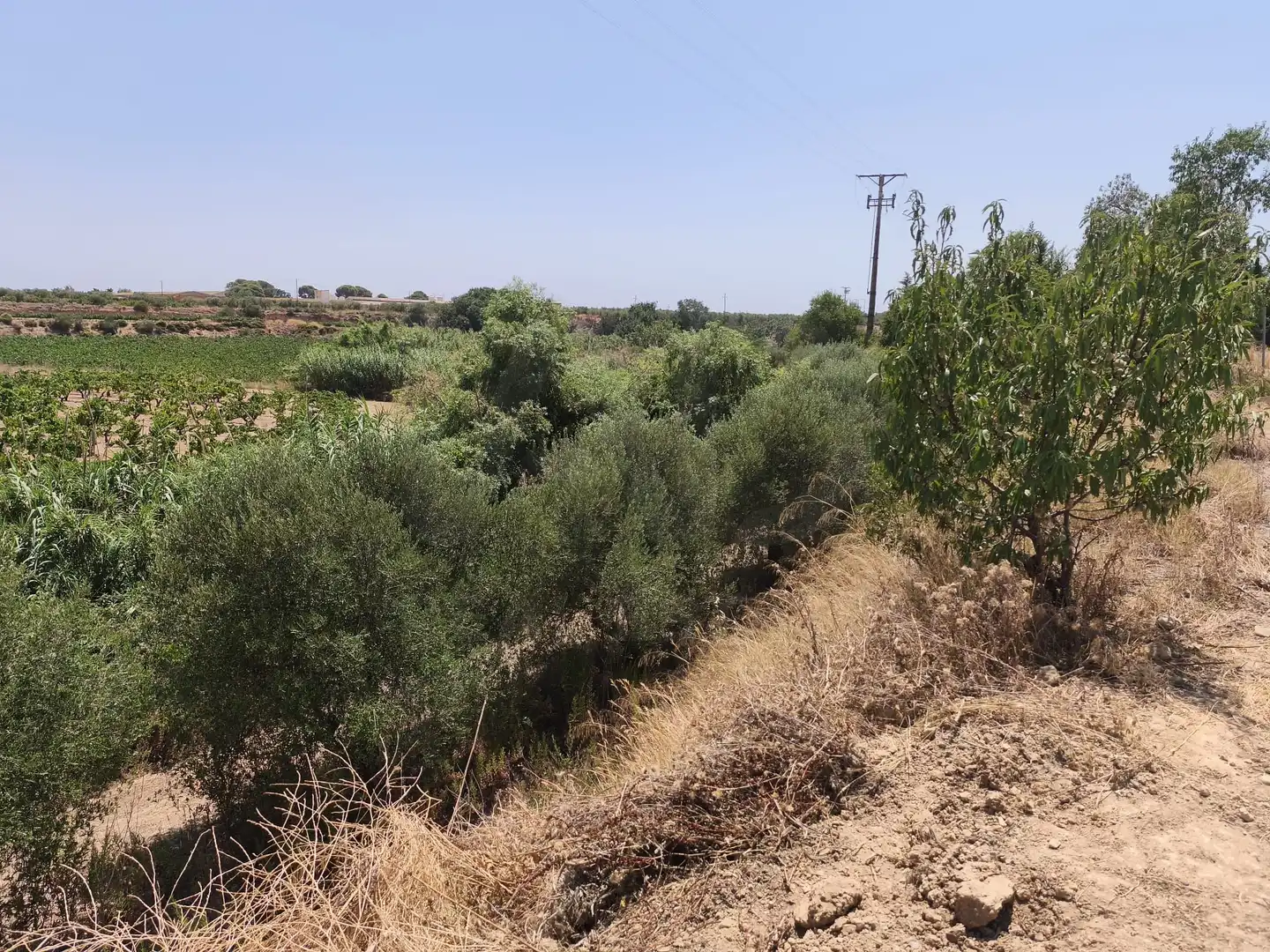 Rustikales Grundstück zum Verkauf in Sant Jaume dels Domenys, imagen 36