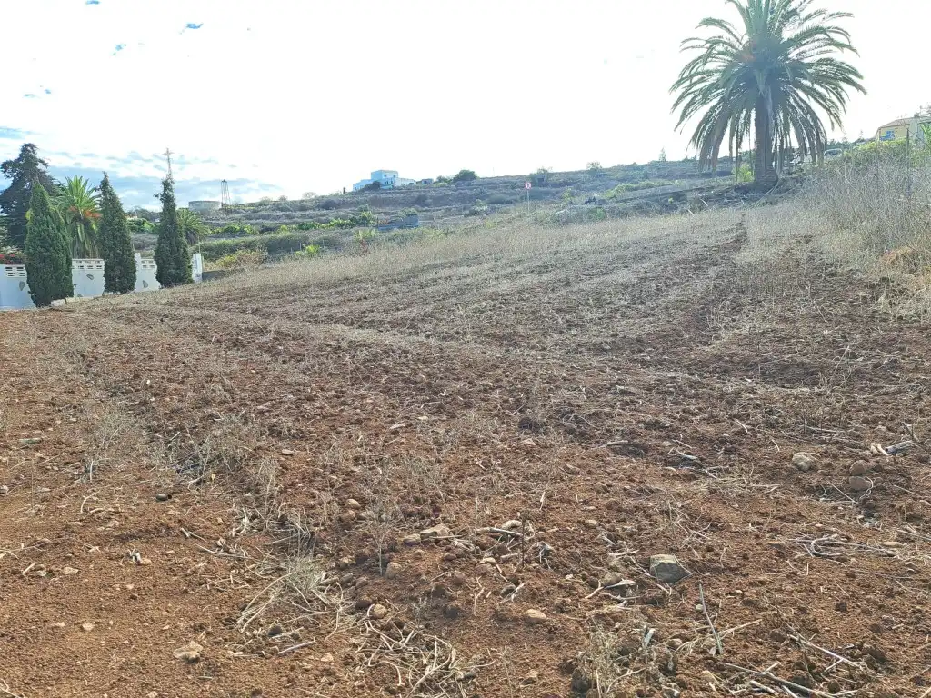 Rural land for sale in El Sauzal, imagen 7