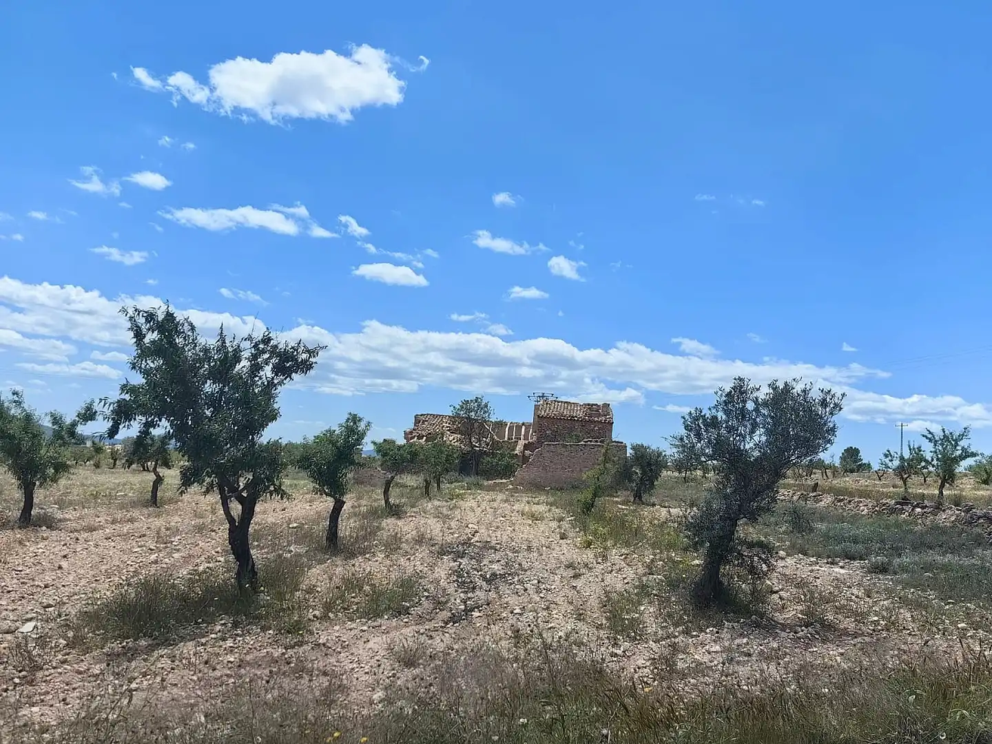 Maison à vendre à El Pinós / Pinoso, imagen 5