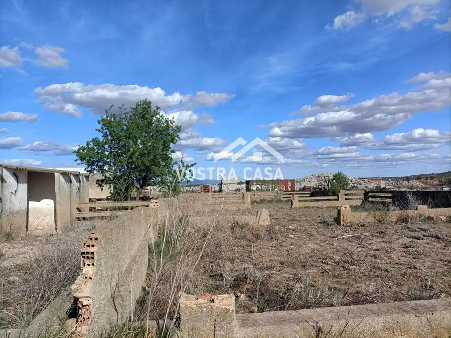 Terreny rústic en venda a PARAJE DE LA CERCA, imagen 11