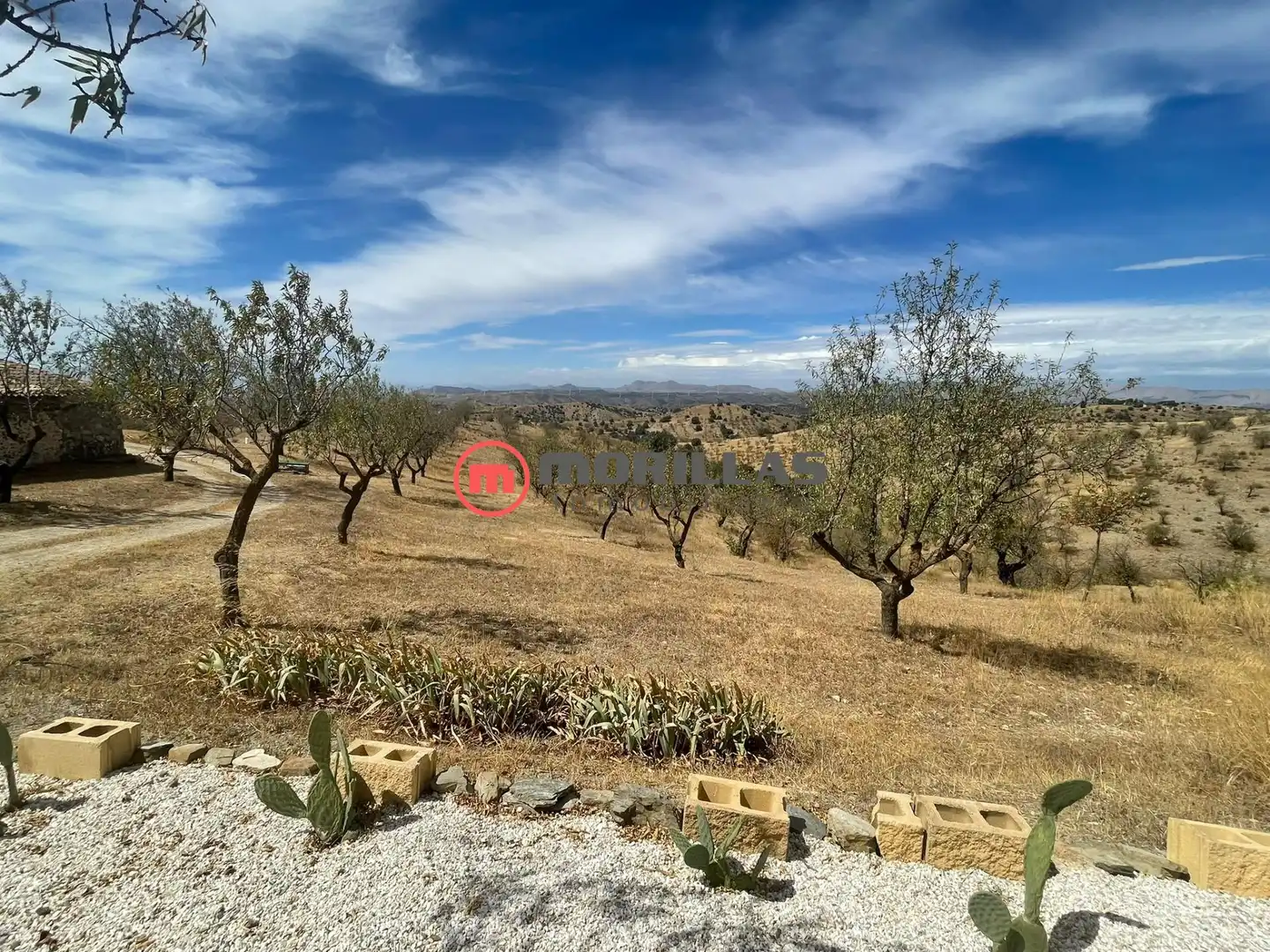 Casa con jardín en venta en Calle de Huércal-Overa 2, imagen 35