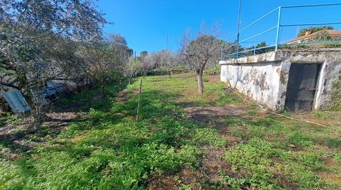 Chalet con parcela de 3000 metros., imatge 5