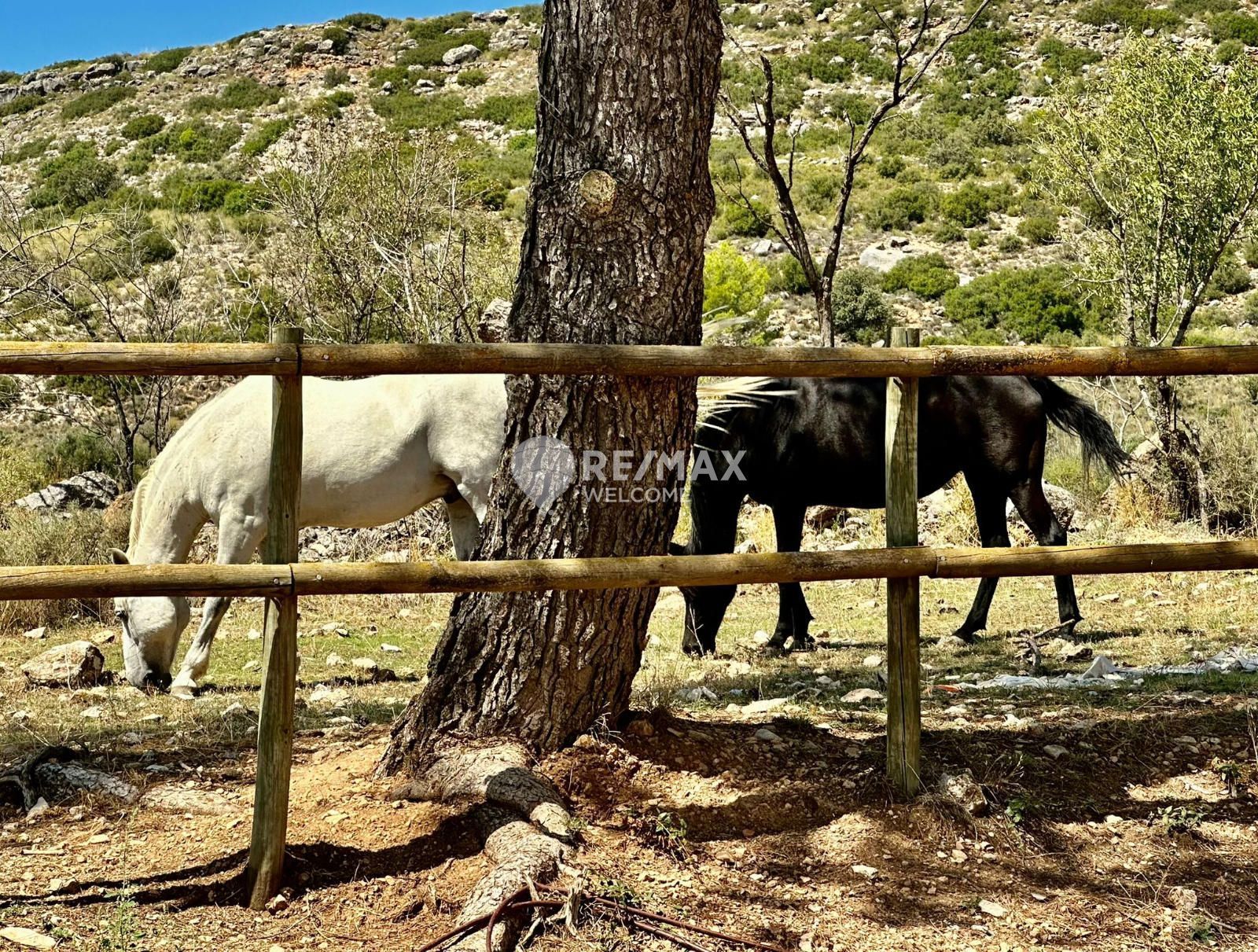 Exterior view of Land for sale in Ambite