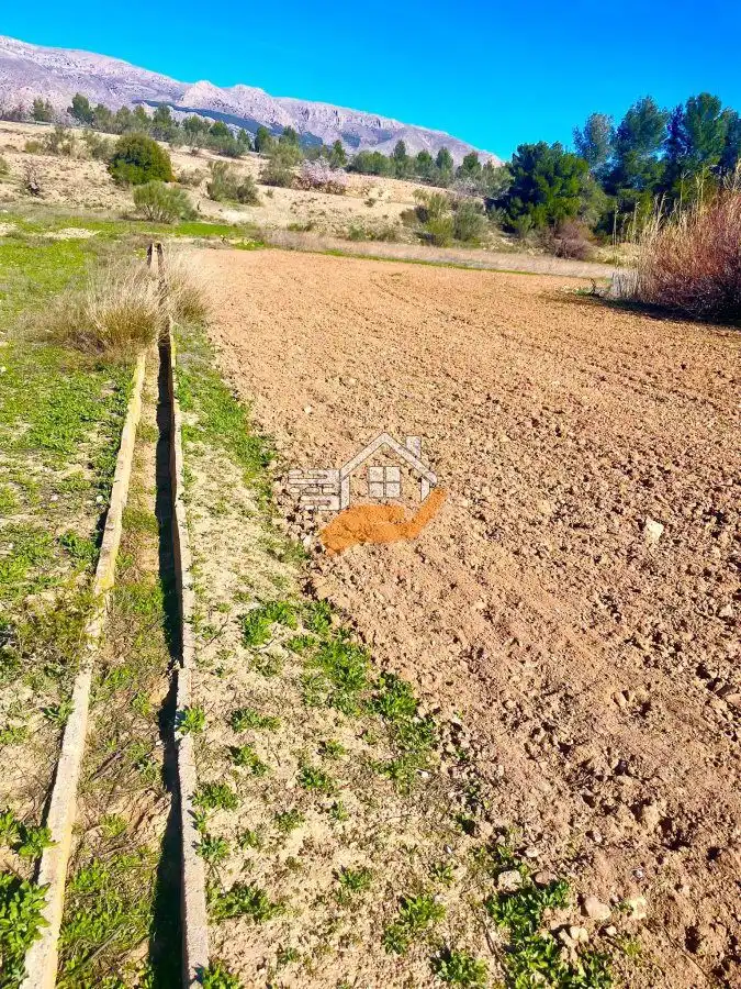 Casa rústica en venda a Vélez-Rubio, imagen 4