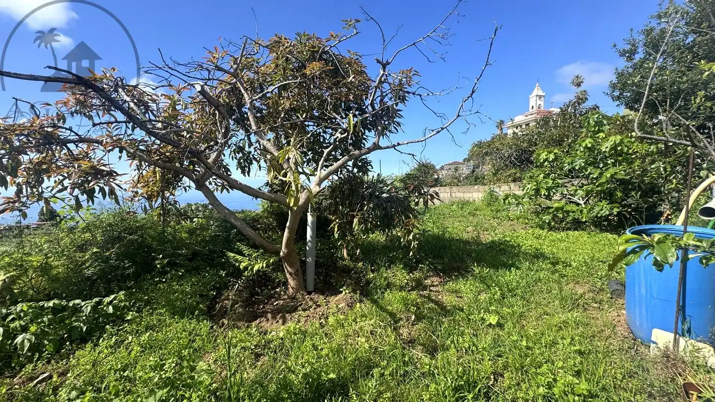 Casa o xalet en venda en La Guancha amb Jardí privat i Moblat