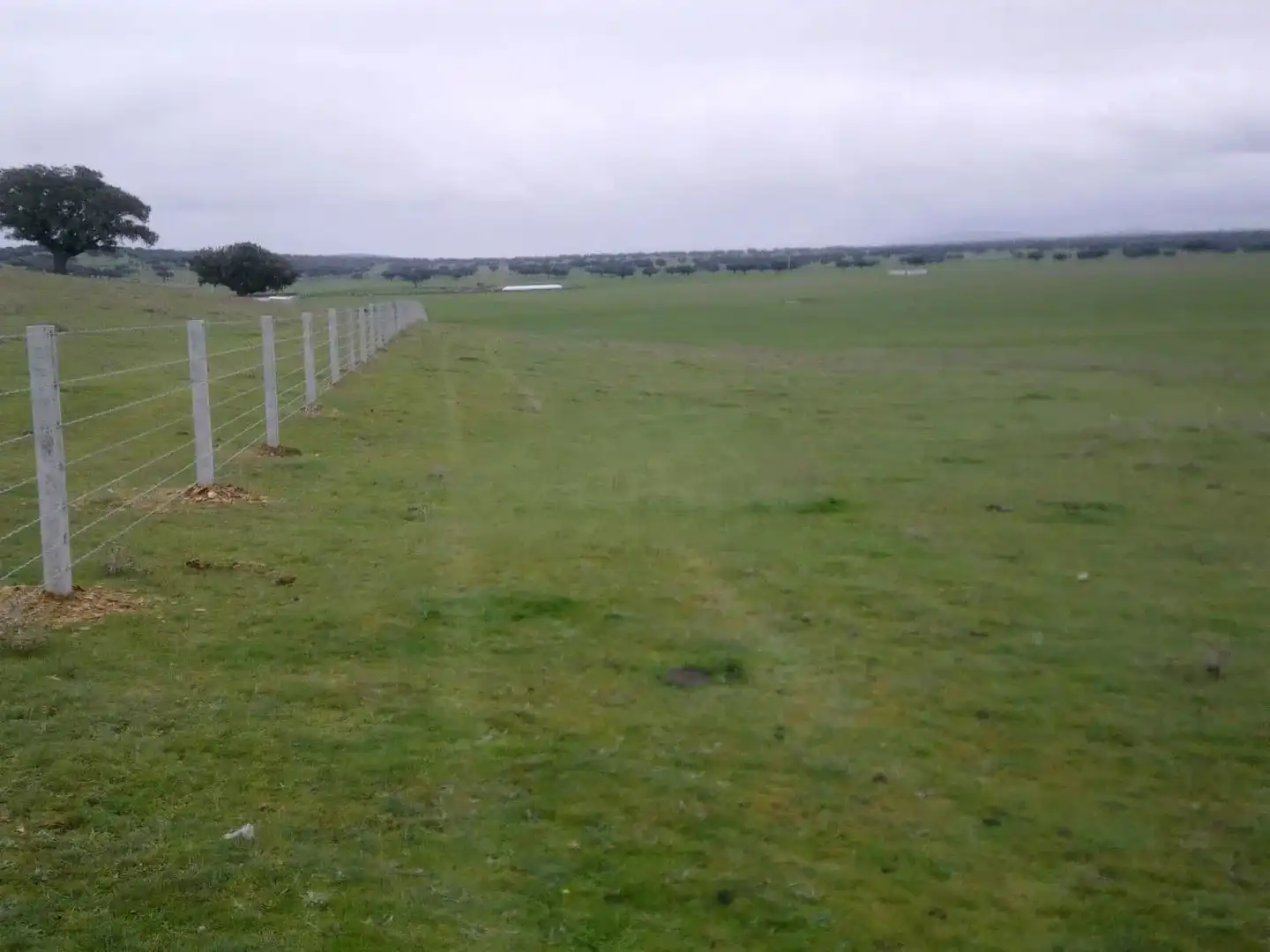 Land for sale in Vistahermosa