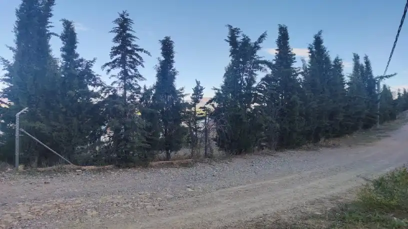 Terrenys i solars en venda a Pedanías Este, imagen 23