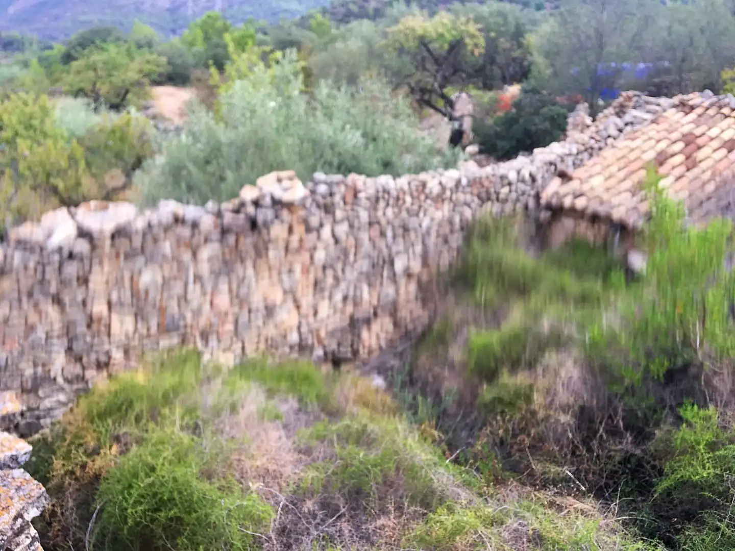 Vista exterior de Finca rústica en venda en Benifallet