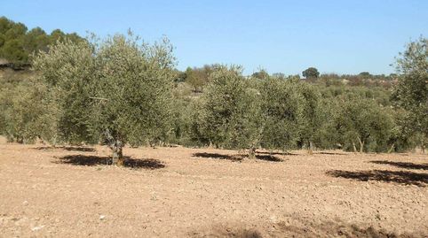 Foto 4 de Terreny en venda a Villarejo de Salvanés, Madrid