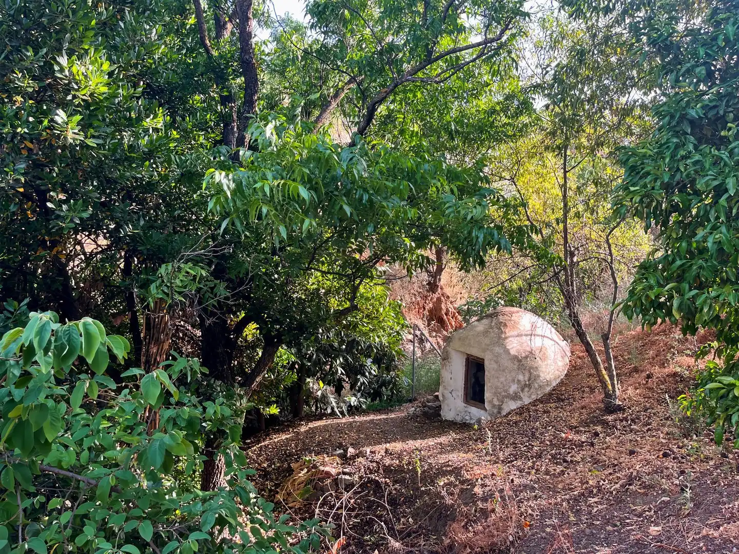 Garden of Country homes for sale in Comares