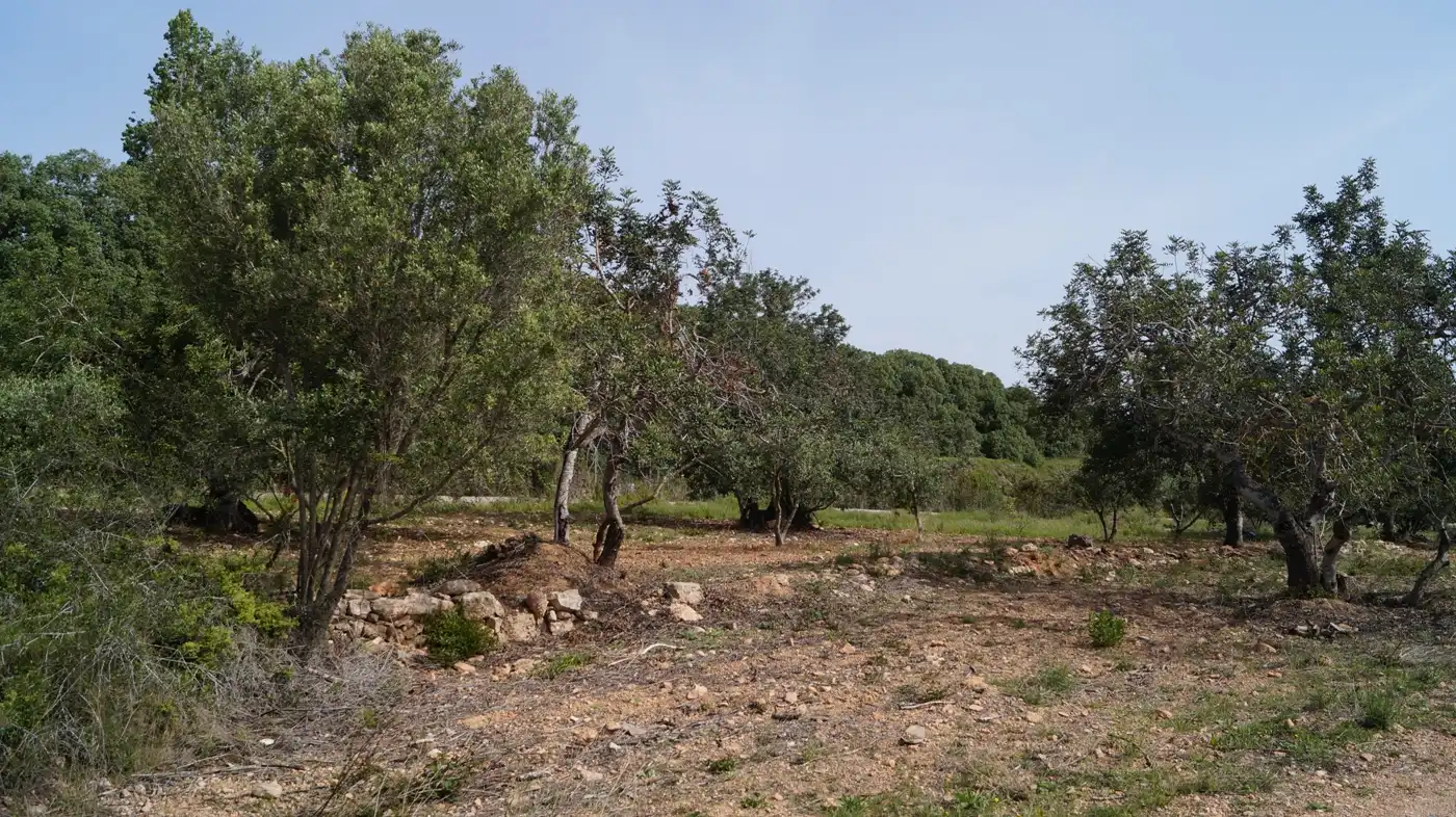 Terreno en venta en Torredembarra