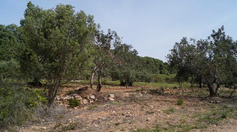 Photo 2 of Land for sale in Autopista del Mediterráneo, 232, Sant Jordi, Torredembarra