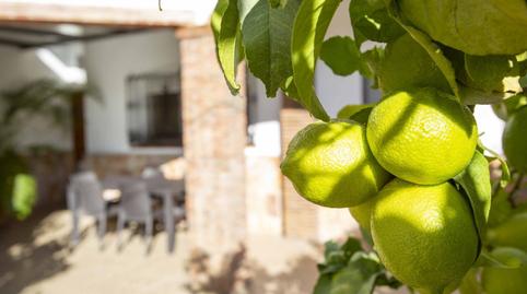Foto 5 de Casa o xalet en venda a Calle Alta, El Borge, Málaga
