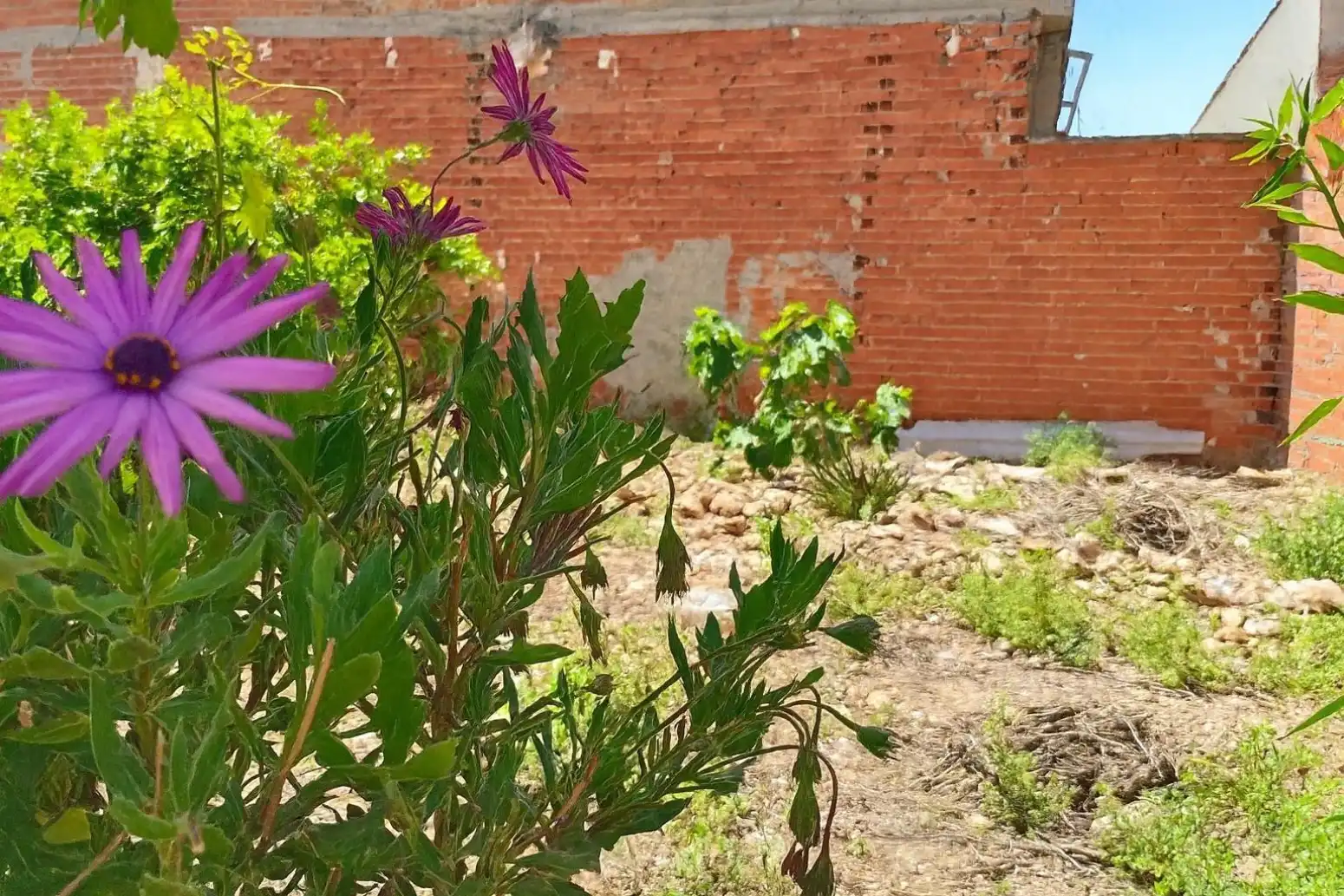 Terreno en venta en Murcia