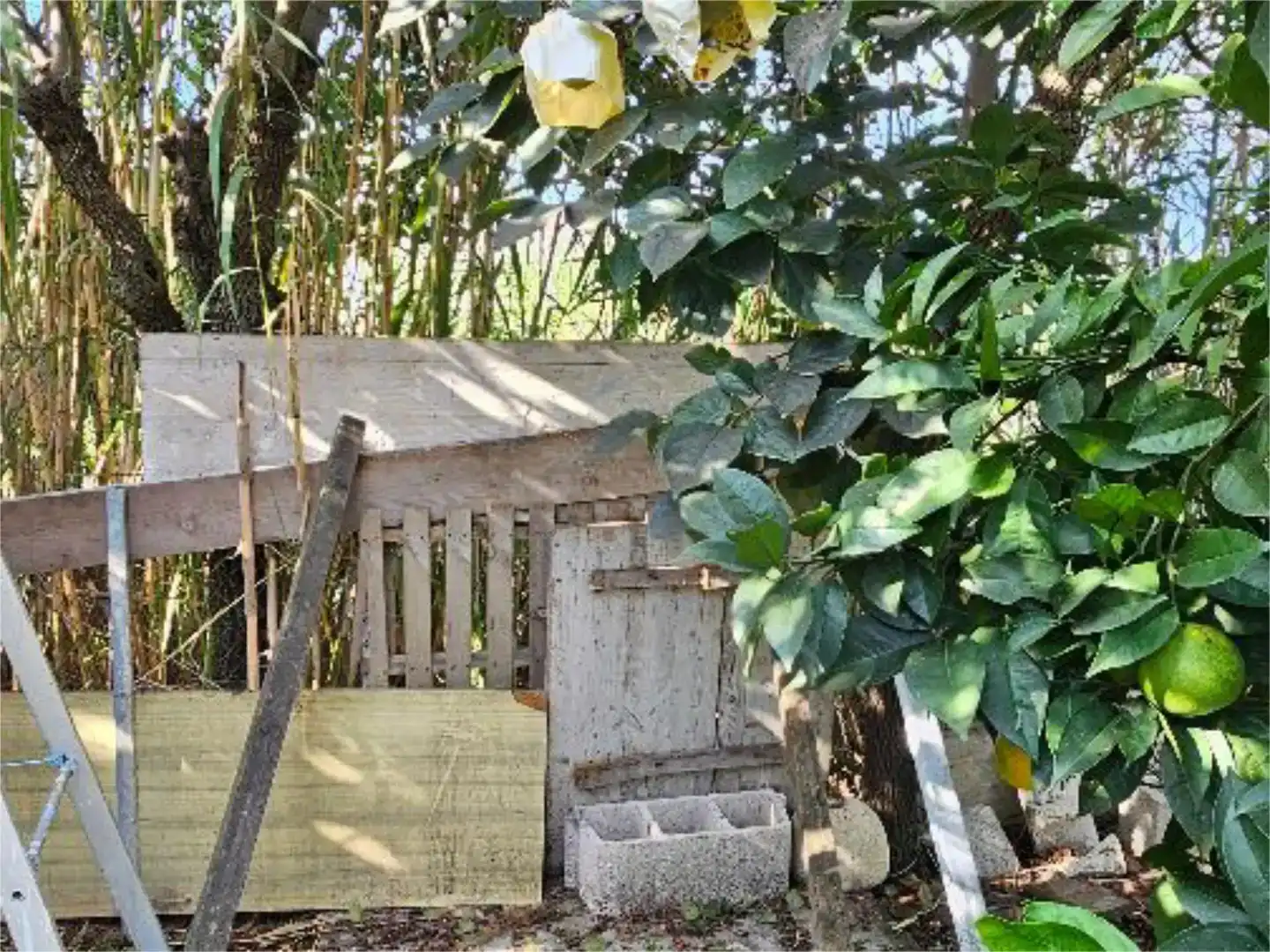 Jardí de Pis en venda en Oliva amb Jardí privat, Parquet i Traster