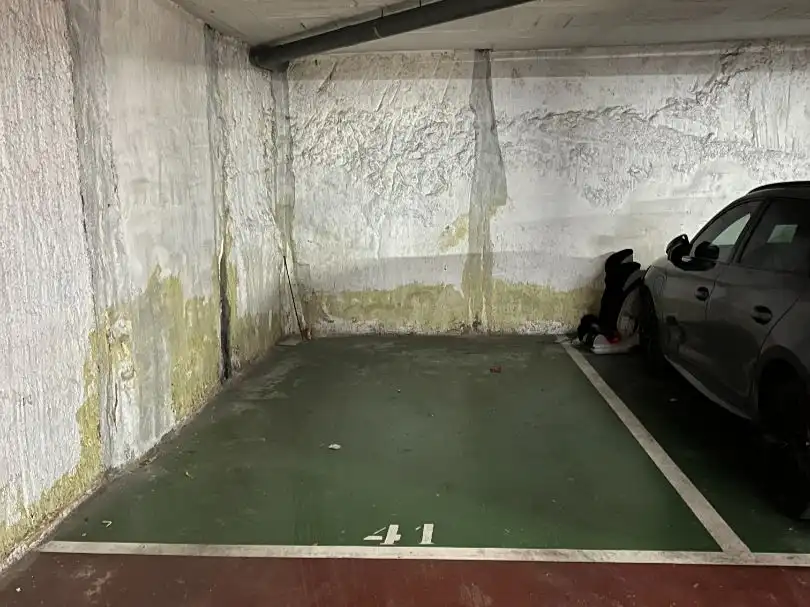 Individual to rent in Pompeu Fabra 5