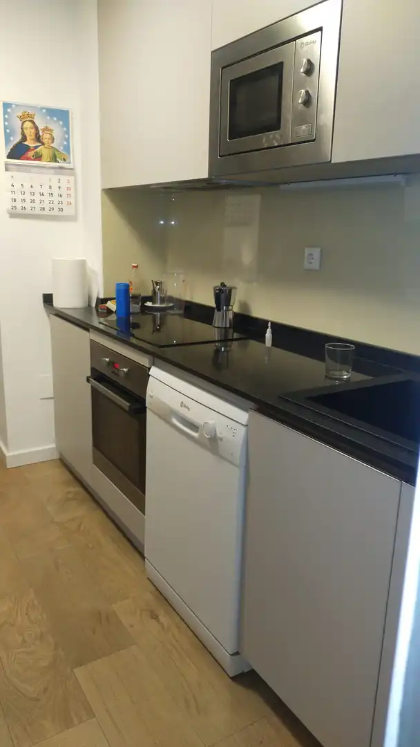 Flat with terrace to rent in Plaza Sol Playa 1, imagen 7